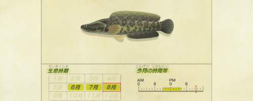 魚 あつ森 北半球 6月