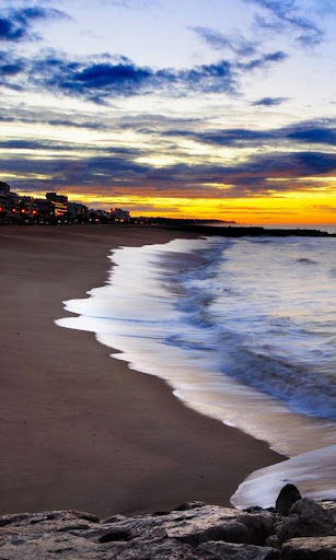 beach live background