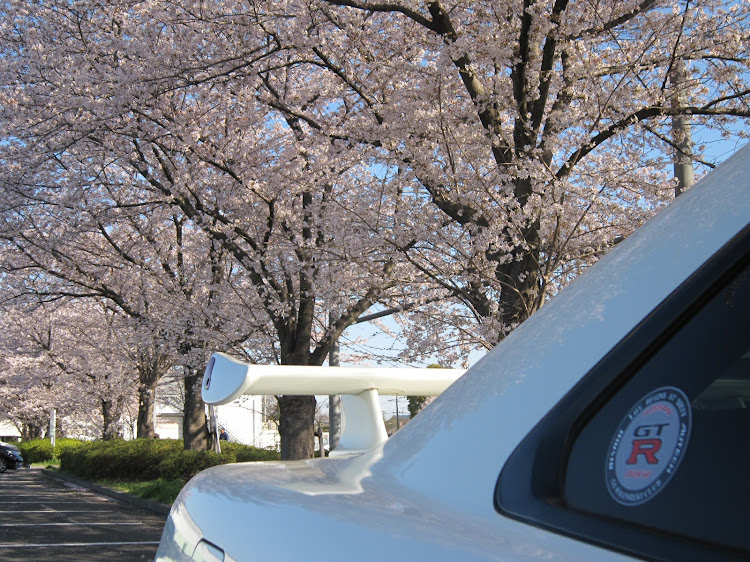 スカイライン GT-RのスカイラインGT-R・Rを嗜む💕・桜とコラボ🌸に関するカスタム事例の投稿画像7枚目