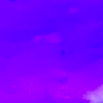 。のプロフィール画像