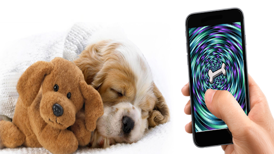 How to get Sleeping Dog Hypnosis Lulz 1.1 mod apk for android
