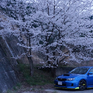 インプレッサ WRX STI GVB