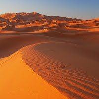 Le curve del deserto di 