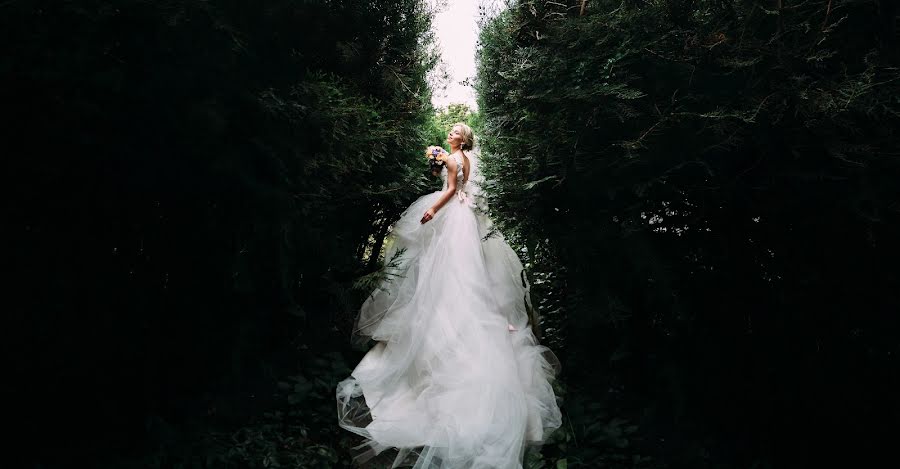 Fotografo di matrimoni Vladimir Mikhaylovskiy (vvmich). Foto del 29 giugno 2017