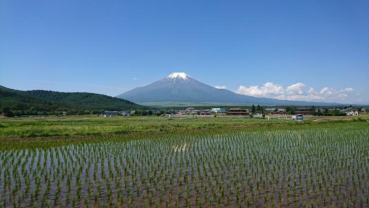 の投稿画像4枚目