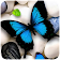 Live Wallpaper Papillon icon