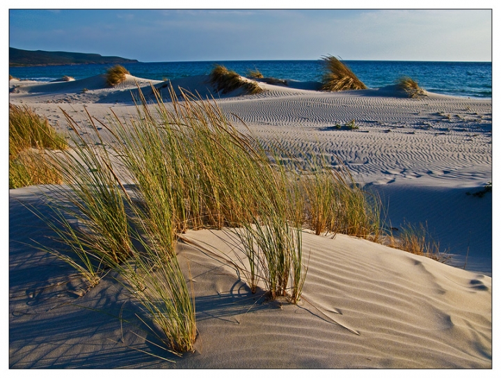 Dune di Porto Pino di longroute