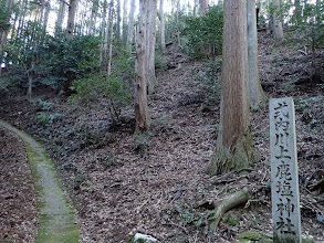 ここは式内川上鹿塩神社