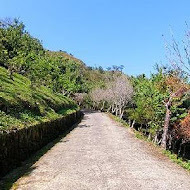 數碼天空景觀餐廳