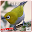 Master Pleci Mp3 Download on Windows