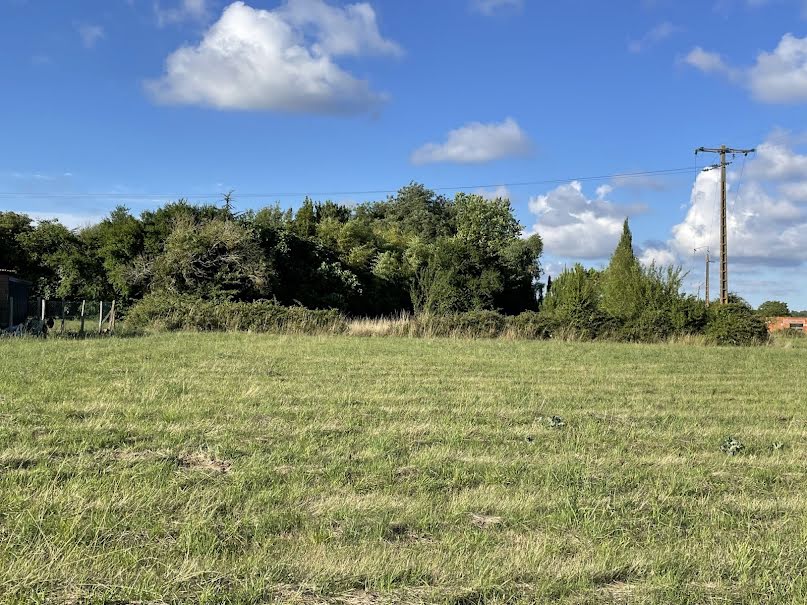 Vente terrain à batir  1200 m² à Epargnes (17120), 53 500 €