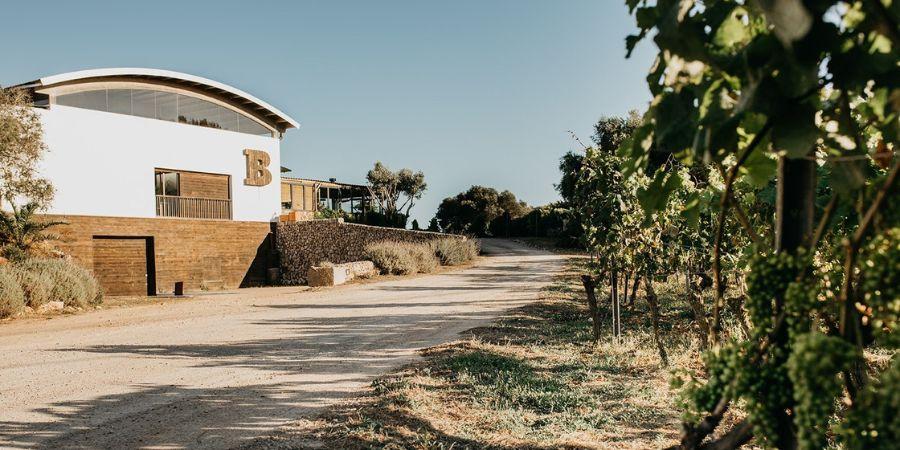 binifadet winery menorca