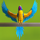 My Talking Parrot Download on Windows