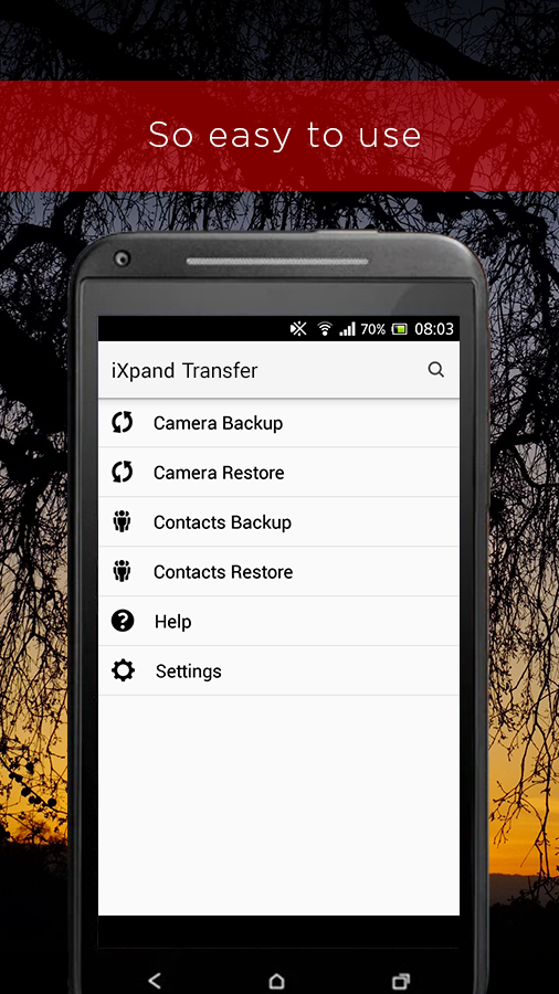 SanDisk iXpand™ Transfer Screen 2