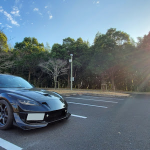 RX-8 SE3P