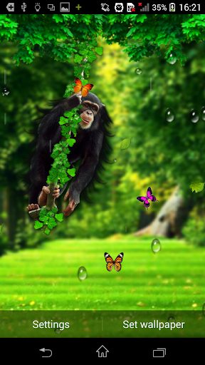 Funny Monkey Live Wallpaper