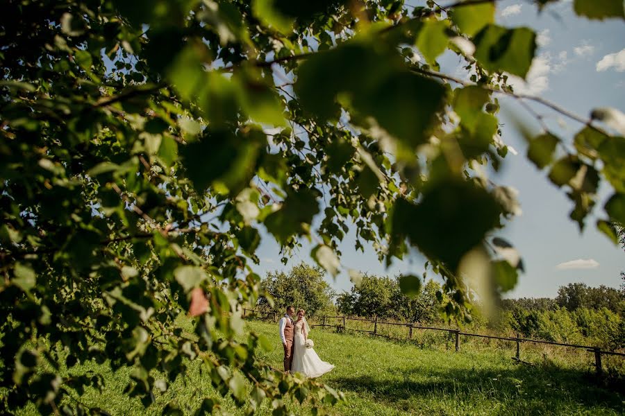 Fotografo di matrimoni Diana Prokhorova (prohorovadidi). Foto del 24 gennaio 2019