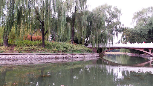 Bamboo Lake Beijing China 2015