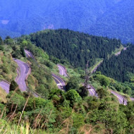 水岸森林會館