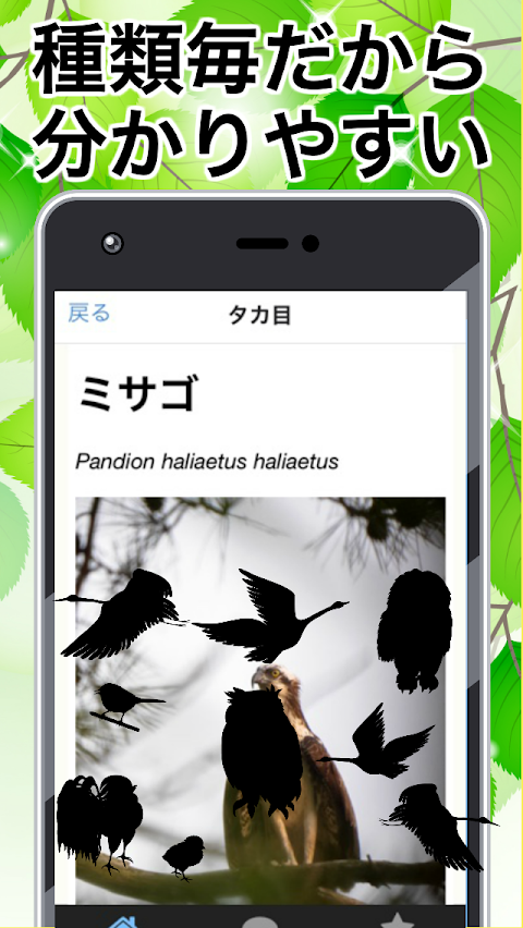 野鳥図鑑 無料〜バードウォッチング×図鑑アプリ 無料×フクロウ×はやぶさ×鳥獣×バードライフ〜のおすすめ画像5
