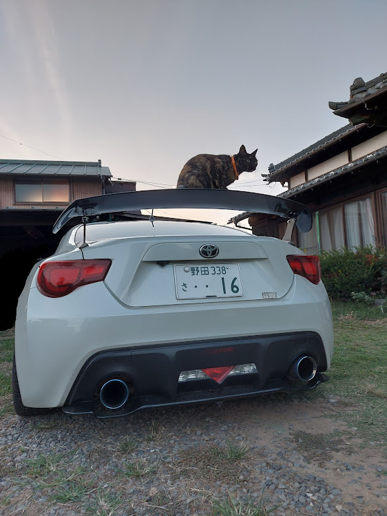 86のおっさんずα・愛猫と愛車・オイル交換・バンパーずれ対策・ポチり症候群に関するカスタム事例の投稿画像1枚目
