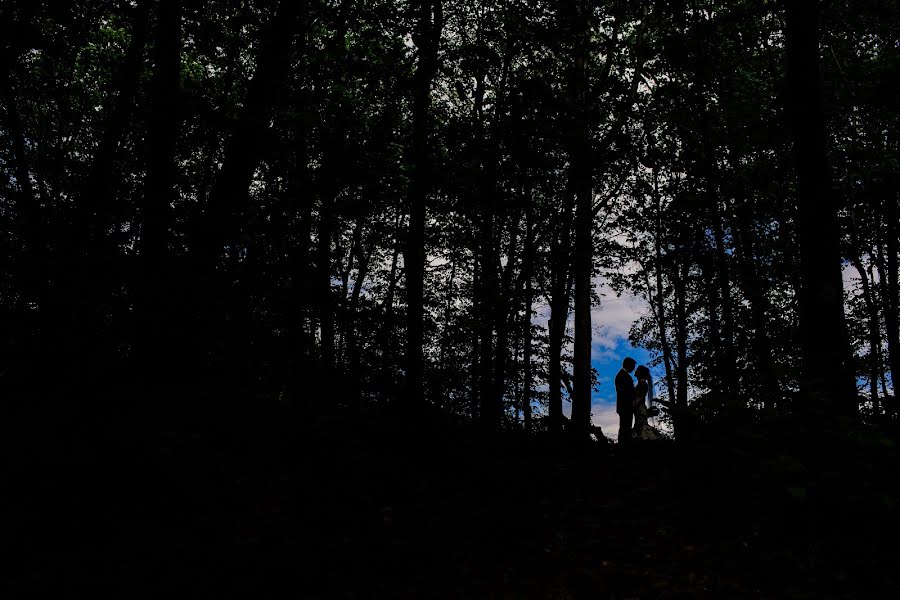 Fotografo di matrimoni Leaha Bourgeois (popography). Foto del 1 giugno 2017