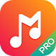 Download Legend Music Player Pro For PC Windows and Mac 1.1