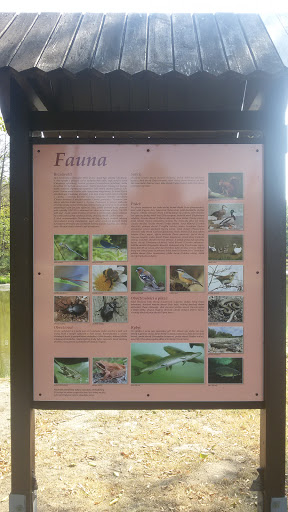 Fauna  Mimoňský Rybník 
