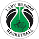 Download Carroll Lady Dragon For PC Windows and Mac 2.1.173