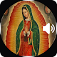 Download Rosario a la Virgen de Guadalupe con Audio For PC Windows and Mac 1.0