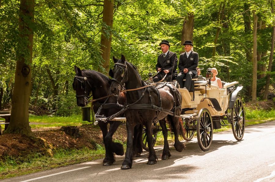 Svatební fotograf Dineke Van Der Wouden (vanderwouden). Fotografie z 23.února 2019