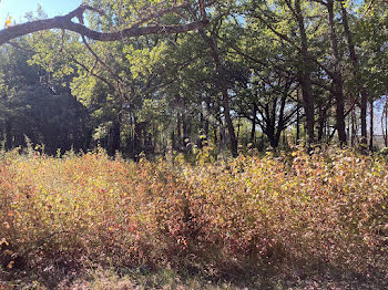 terrain à Saint-Julien (83)