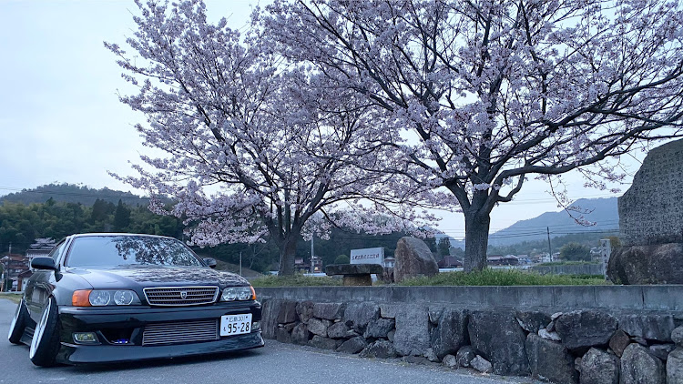 チェイサーの鬼キャン・花見・桜・桜とコラボ・桜と愛車に関するカスタム事例の投稿画像1枚目