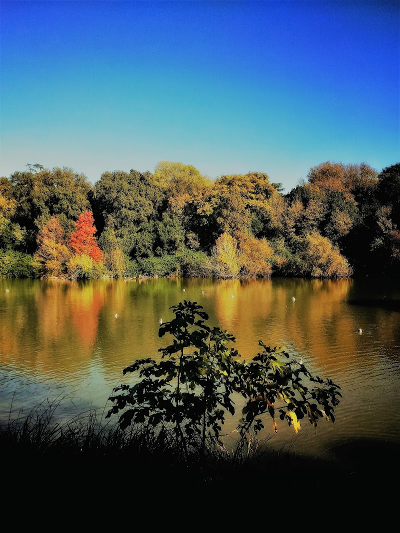 villa borghese di Augenblick