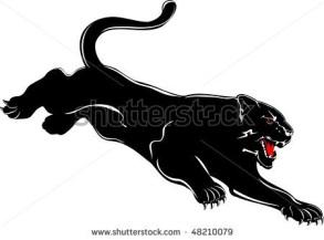 C:\Users\Casa\Desktop\stock-vector-vector-image-attacking-black-panther-48210079.jpg