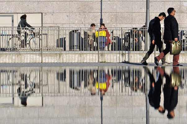 Life reflected di AlfredoNegroni