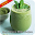 Easy Protein Shake Recipe Download on Windows