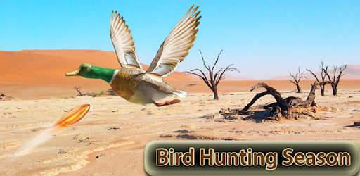 Desert Birds Sniper Shooter 3D