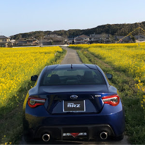 BRZ ZC6