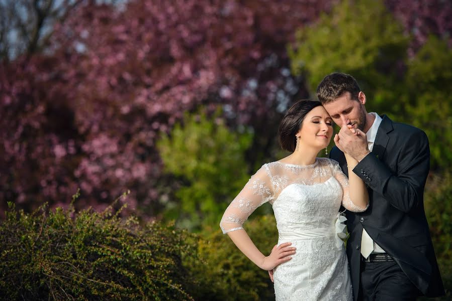 Hochzeitsfotograf Bence Pányoki (panyokibence). Foto vom 10. Mai 2016