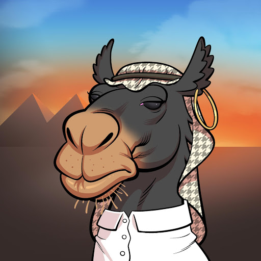 Arabian Camel #3501