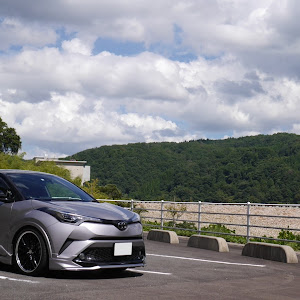 C-HR NGX50