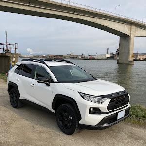 RAV4 MXAA54