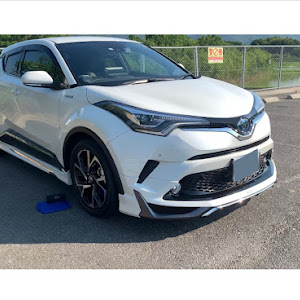 C-HR ZYX10