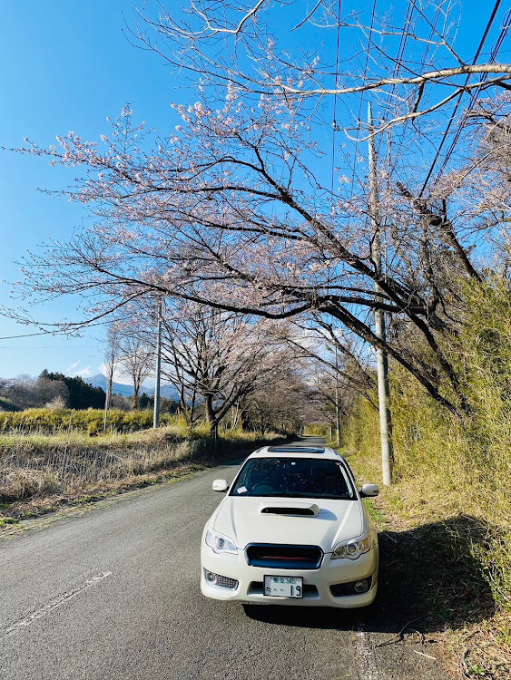 の投稿画像9枚目