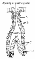 Solution Image