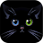 Cute Cat Wallpaper Cartoon icon