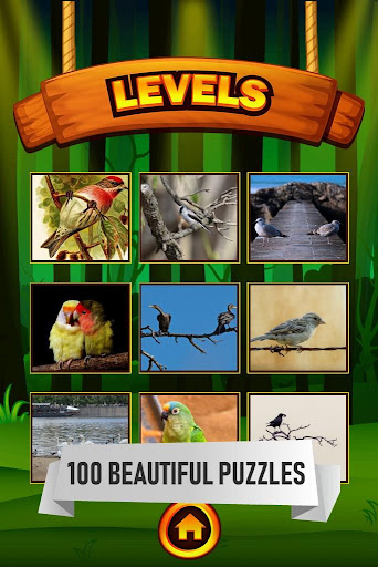 Birds Jigsaw Puzzle