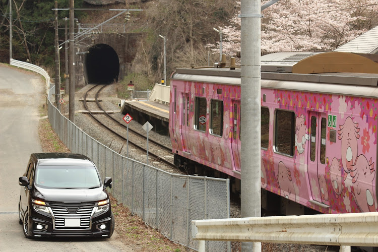 エルグランドのM'z SPEED・桜とコラボ・一眼レフ・車の楽しみ方は色々・電車とコラボに関するカスタム事例の投稿画像6枚目
