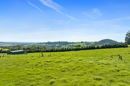 Rolling green fields with green barn in this luxury house for sale in Kangaloon